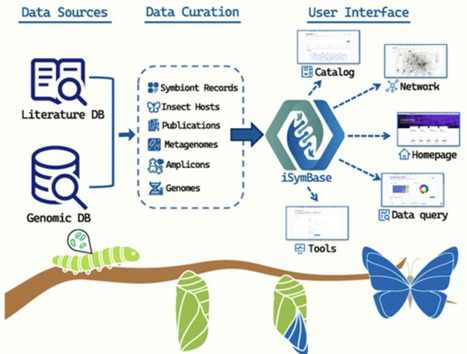 iSymBase: an integrative functional-genomic platform for ecological exploration of insect symbionts | isme | RMH | Scoop.it