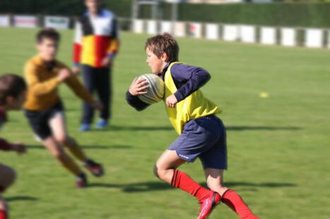 PLF 2026 : les élus au sport appellent à des « mesures fortes » | Veille juridique du CDG13 | Scoop.it