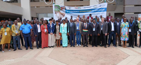 3e Conf&eacute;rence entomologique de C&ocirc;te d&rsquo;Ivoire (CECI-3): L&rsquo;innovation scientifique au c&oelig;ur de la lutte contre les insectes nuisibles | L'Intelligent d'Abidjan | EntomoScience | Scoop.it