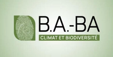 Une formation gratuite du Cned sur le climat et la biodiversité | ECOLOGIE - ENVIRONNEMENT | Scoop.it