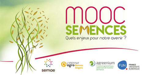 Semences végétales, quels enjeux pour notre avenir ? - Cours | Les Colocs du jardin | Scoop.it