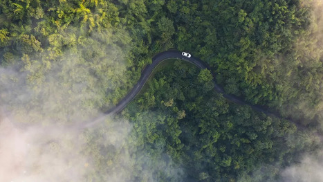 FRENCH TECH : Recul sans pr&eacute;c&eacute;dent des lev&eacute;es de fonds des start-up de l'environnement&nbsp; | INNOVATIONS | Scoop.it