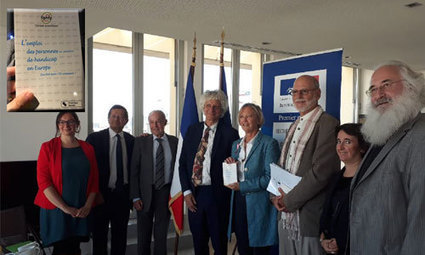 Emploi Et Handicap En Europe Ca Marche Comment Ailleurs Ocirp