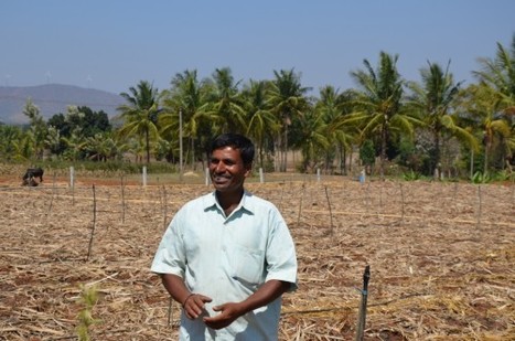 Bhoo chetana : mega initiative en Inde pour booster l'agriculture par la micronutrition du sol | Economie Responsable et Consommation Collaborative | Scoop.it
