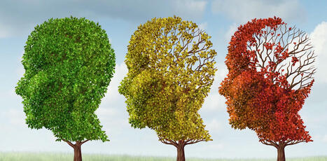 What’s the difference between Alzheimer’s and dementia? | Hospitals and Healthcare | Scoop.it