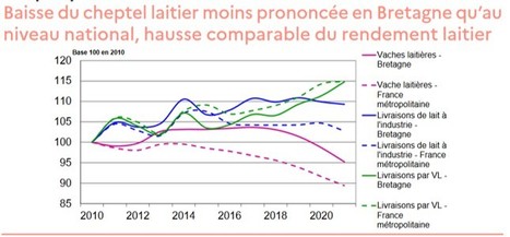 Agreste : La filière lait en Bretagne, édition 2022 | Lait de Normandie... et d'ailleurs | Scoop.it