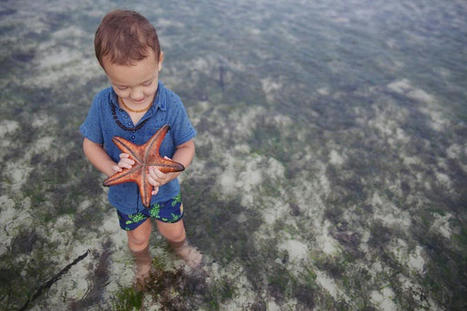 Water Names Make a Splash | Name News | Scoop.it