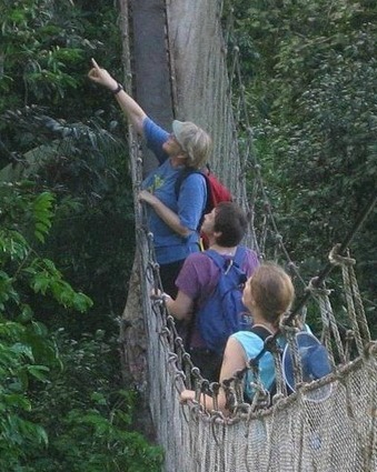 2014 Educator Academy in the Amazon - Registration is OPEN and Scholarships are available! | Rainforest CLASSROOM | Scoop.it