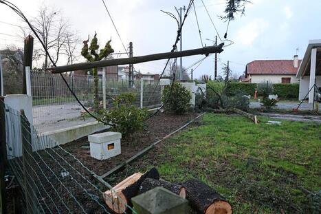 Temp&ecirc;tes Nils et Pedro&nbsp;: au moins 800 clients toujours priv&eacute;s d&rsquo;Internet dans les Landes au 31&nbsp;mars | Landes - Conseils municipaux & communautaires | Scoop.it