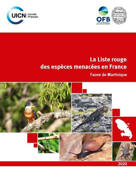 La Liste rouge de la faune de Martinique est en ligne ! | Insect Archive | Scoop.it