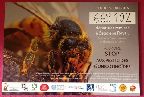 Plus de 600&nbsp;000 signatures contre les n&eacute;onicotino&iuml;des, nocifs pour les abeilles | EntomoNews | Scoop.it