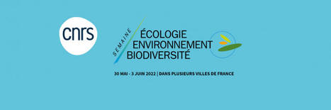 Semaine écologie environnement biodiversité | Variétés entomologiques | Scoop.it