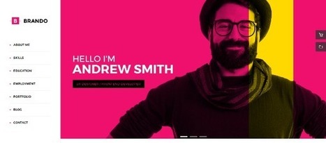 50+ Best Vcard Resume WordPress Themes 2017 - Web Design Cover | Public Relations & Social Marketing Insight | Scoop.it