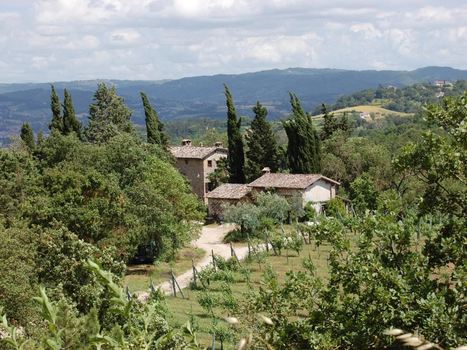 Archeologia arborea, salvata frutta del Rinascimento | Orto, Giardino, Frutteto, Piante Innovative e Antiche Varietà | Scoop.it