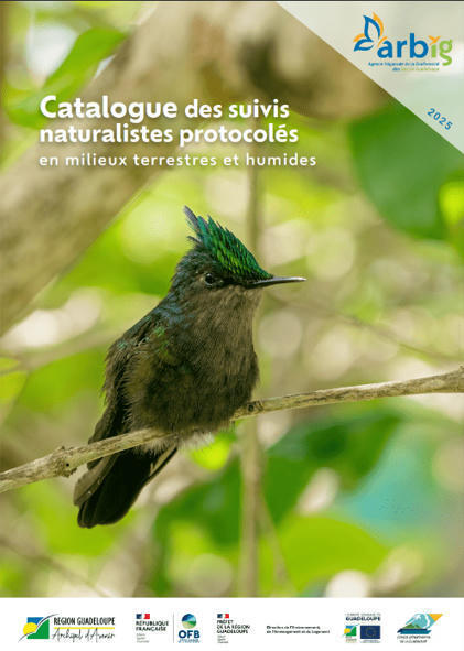 Suivis naturalistes Guadeloupe : milieux terrestres/humides - Agence Régionale de Biodiversité des Îles de Guadeloupe | Biodiversité | Scoop.it