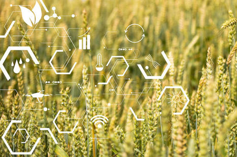 La digitalizzazione in agricoltura - Economia e politica - AgroNotizie | Netizen | Scoop.it