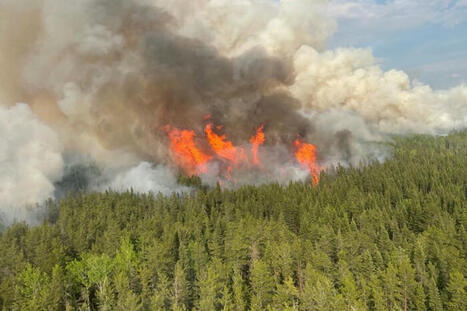 Le Canada peine à endiguer les immenses feux de forêt | Toxique, soyons vigilant ! | Scoop.it