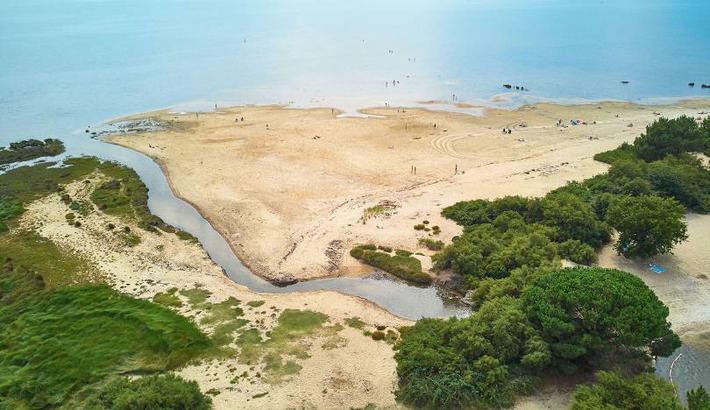 "La Gironde, c'est grand" : malgr&eacute; les incendies, les professionnels du tourisme esp&egrave;rent sauver la saison | Observations, chiffres cl&eacute;s, fiches march&eacute;s, &eacute;tudes et tendances | Scoop.it