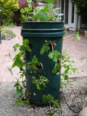 How to build a strawberry tower | Gardening Life | Scoop.it