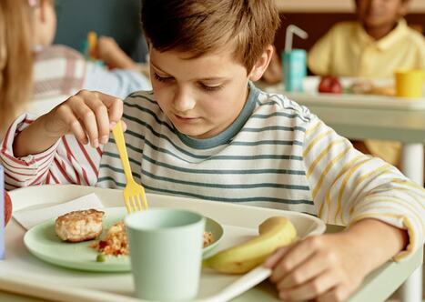 Cantines scolaires : marche arri&egrave;re sur la r&eacute;autorisation des couverts et assiettes en plastique | &Eacute;ducation, jeunesse et sports | Scoop.it