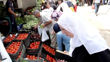 ALGERIE - Sayoud mobilise les walis | CIHEAM Press Review | Scoop.it