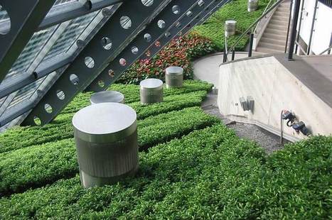 Argex : de l’argile expansé pour les toits-terrasses | GREENEYES | Scoop.it