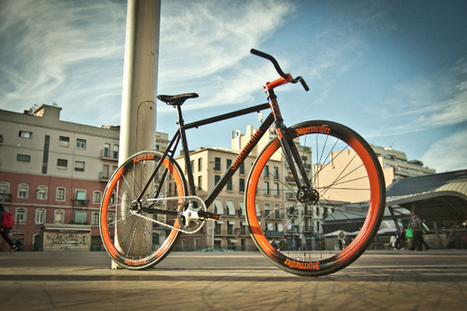 scoop fixie