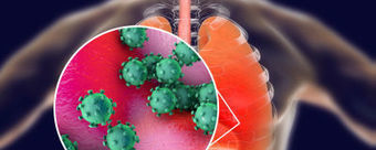 Scientists Zero in on the Novel Coronavirus's Incubation Period | Wuhan, Hubei | Scoop.it