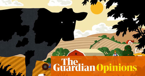 New reports tell us cattle and sheep farming can be sustainable – don’t believe them, it’s all bull | George Monbiot | The Guardian | Operation Deimos | Scoop.it