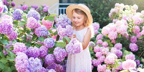 14 Beautiful Flower Names For Girls - Floral Name Ideas | Name News | Scoop.it