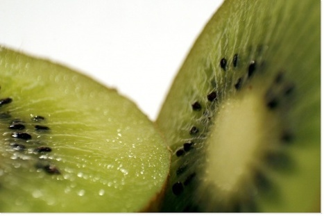 AGROCAMPUS_FLAM | Scoop.it | HORTICULTURE | Scoop.it