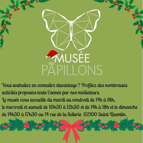 Le mus&eacute;e des Papillons - Saint-Quentin (02) | Vari&eacute;t&eacute;s entomologiques | Scoop.it