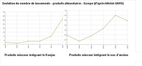 Après le son d'avoine, le konjac joue la carte de la minceur sans privation. | Les nouvelles cultures de l'alimentaire | Scoop.it