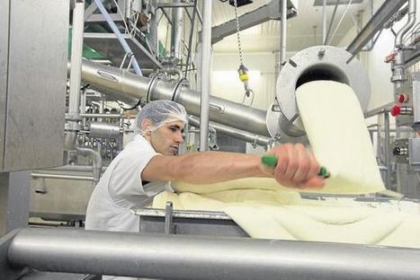 Eurial, un nouveau « géant » du lait | Economie de l'Elevage | Scoop.it