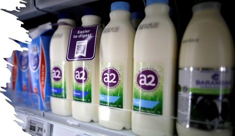 a2 Milk obtient l'autorisation temporaire d'exporter vers les États-Unis. | Lait de Normandie... et d'ailleurs | Scoop.it