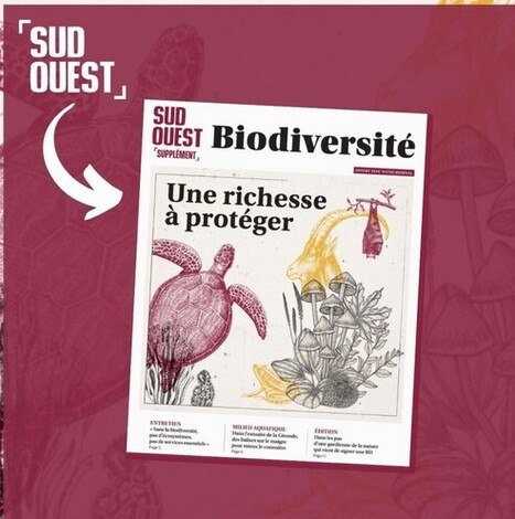 Biodiversité, une richesse à préserver : dossier spécial - Sud-Ouest | Biodiversité | Scoop.it