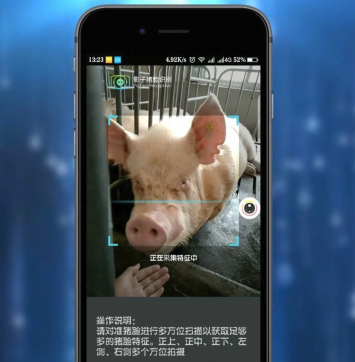 Facial recognition can invade privacy or be put to good use: China’s Tech Firms are Mapping Pig Faces to track swine population and react faster in case of disease spread via @TheNewYorkTimes #AI #... | WHY IT MATTERS: Digital Transformation | Scoop.it