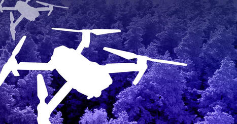 Monday's papers: Drone danger, modern men, and voters Hungary for change | Yle News | Yle | 1Uutiset - Lukemisen t&auml;hden | Scoop.it