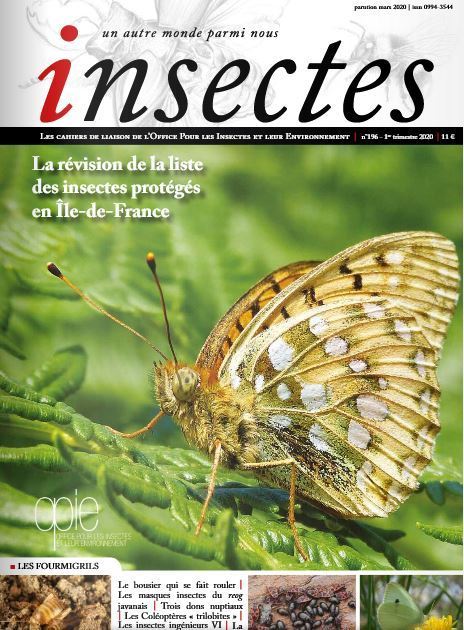 2020 : La revue Insectes a fait peau neuve ! | Variétés entomologiques | Scoop.it
