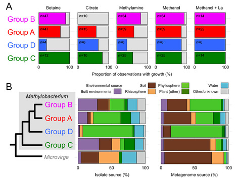 Original Paper in ISME J &bull; Leducq Lab 2025 &bull; Led astray by 16S rRNA: phylogenomics reaffirms the monophyly of Methylobacterium and lack of support for Methylorubrum as a genus | Originals | Scoop.it