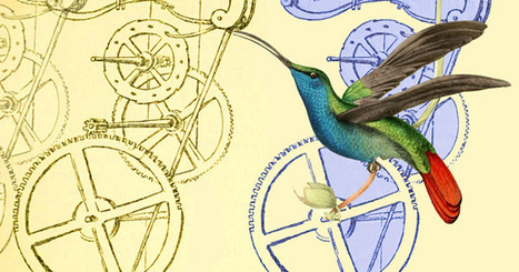 The Hummingbird Effect: How Galileo Invented Time and Gave Rise to the Modern Tyranny of the Clock | e-commerce & social media | Scoop.it