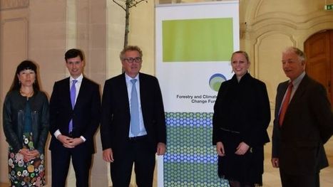 Partnership: Luxembourg launches forestry and climate change fund | #Tropics | Luxembourg (Europe) | Scoop.it