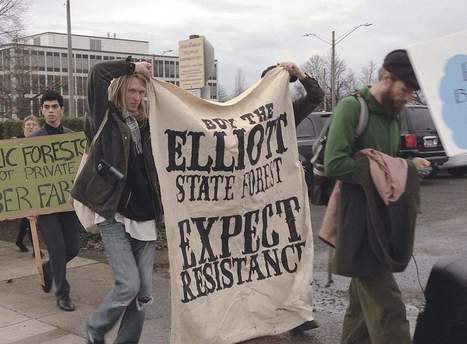 Land board seeks sale of Elliott State Forest | Timberland Investment | Scoop.it