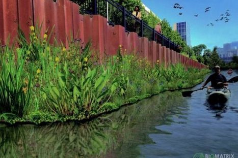 Chicago met en place un jardin flottant pour régénérer la vie sauvage de sa rivière | Lumières de la Ville | water news | Scoop.it