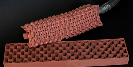 Le muscle artificiel d'Harvard, invention r&eacute;volutionnaire pour la robotique ? | Humanoides.fr | Buzz e-sante | Scoop.it