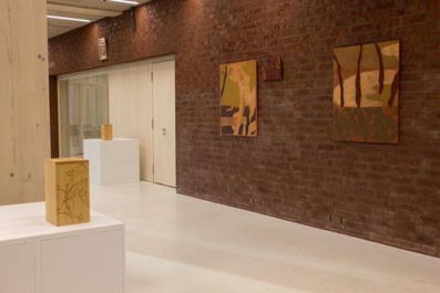 Kuvataidearvio: Nyt on fiini&auml;: Uusi taidetila syrj&auml;ytt&auml;&auml; punaisen maiseman ulottuvuudet | 1Uutiset - Lukemisen t&auml;hden | Scoop.it