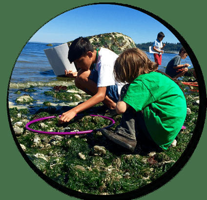 Indigenous STEAM &ndash; Indigenous science education resources | Schools, Families, and Community Resources | Scoop.it