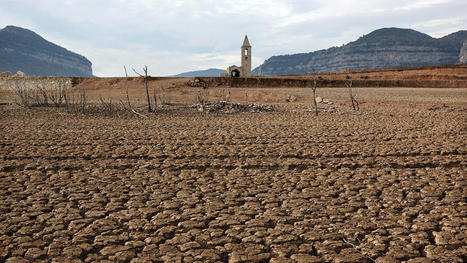 ESPAGNE : Barcelone impose des mesures draconiennes contre la sécheresse | MED-Amin network | Scoop.it