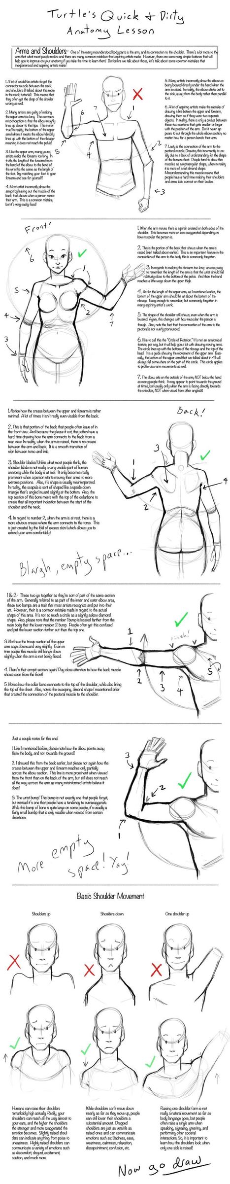 Anatomy Drawing In Drawing References And Resources