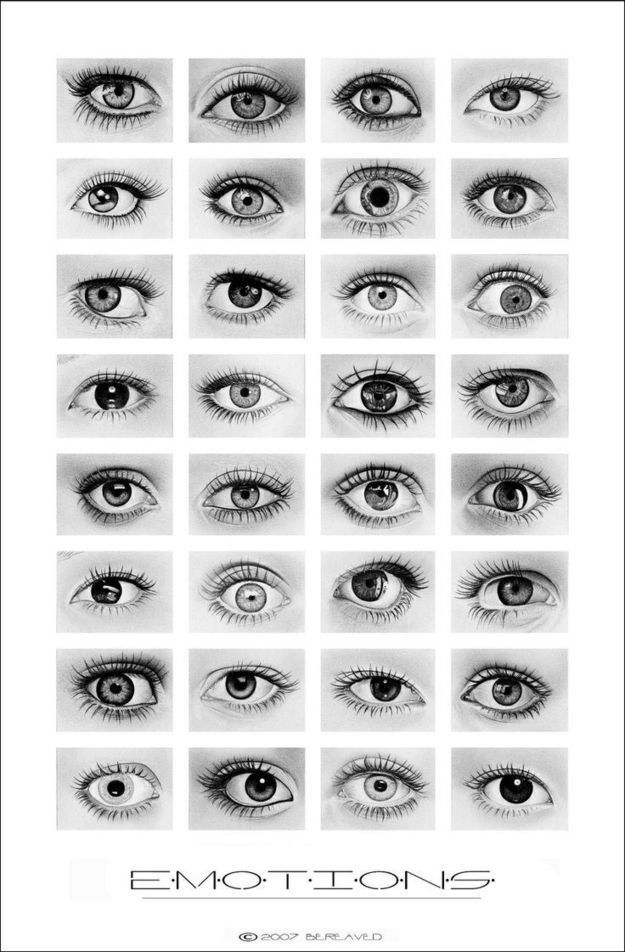 Eye Drawing Reference Guide  Drawing Reference